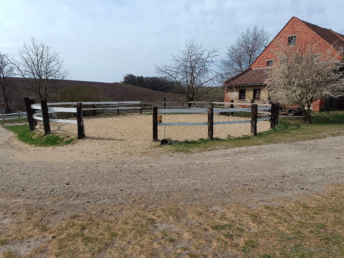 Ustájení koní - inhalační solná terapie koní - 3