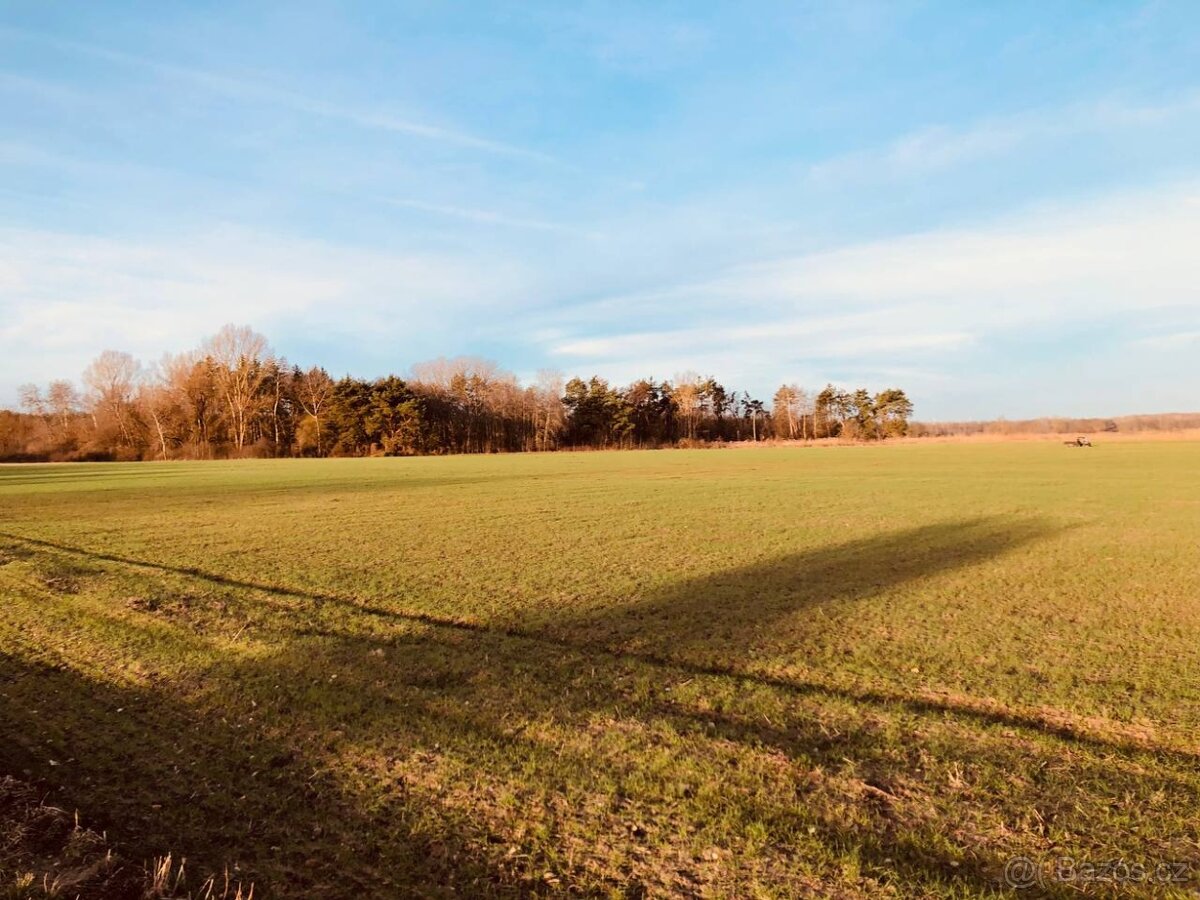 Nová Ponuka, 45 172 m² pri Levároch - 3