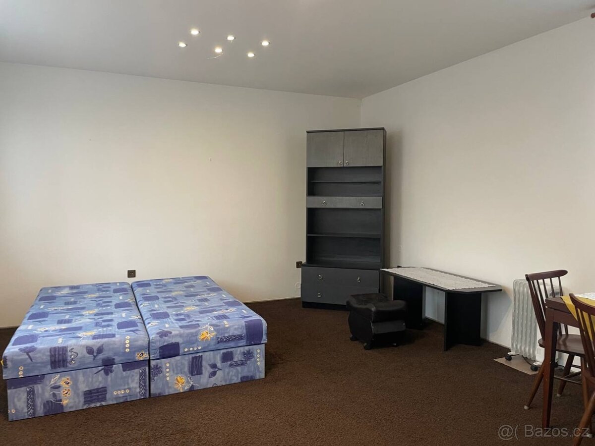 Pronájem bytu 1+1, Chrudim - 3