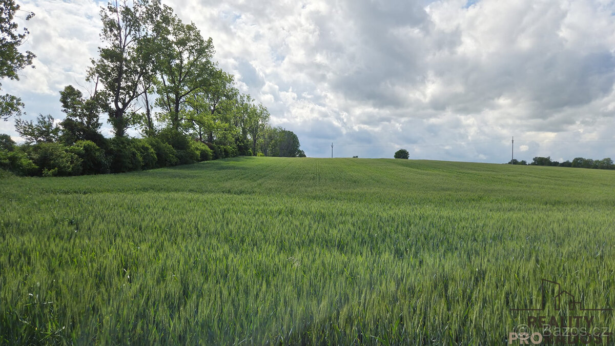 Prodej pozemků 2649 m2 v Kyjově - Nětčicích - 3