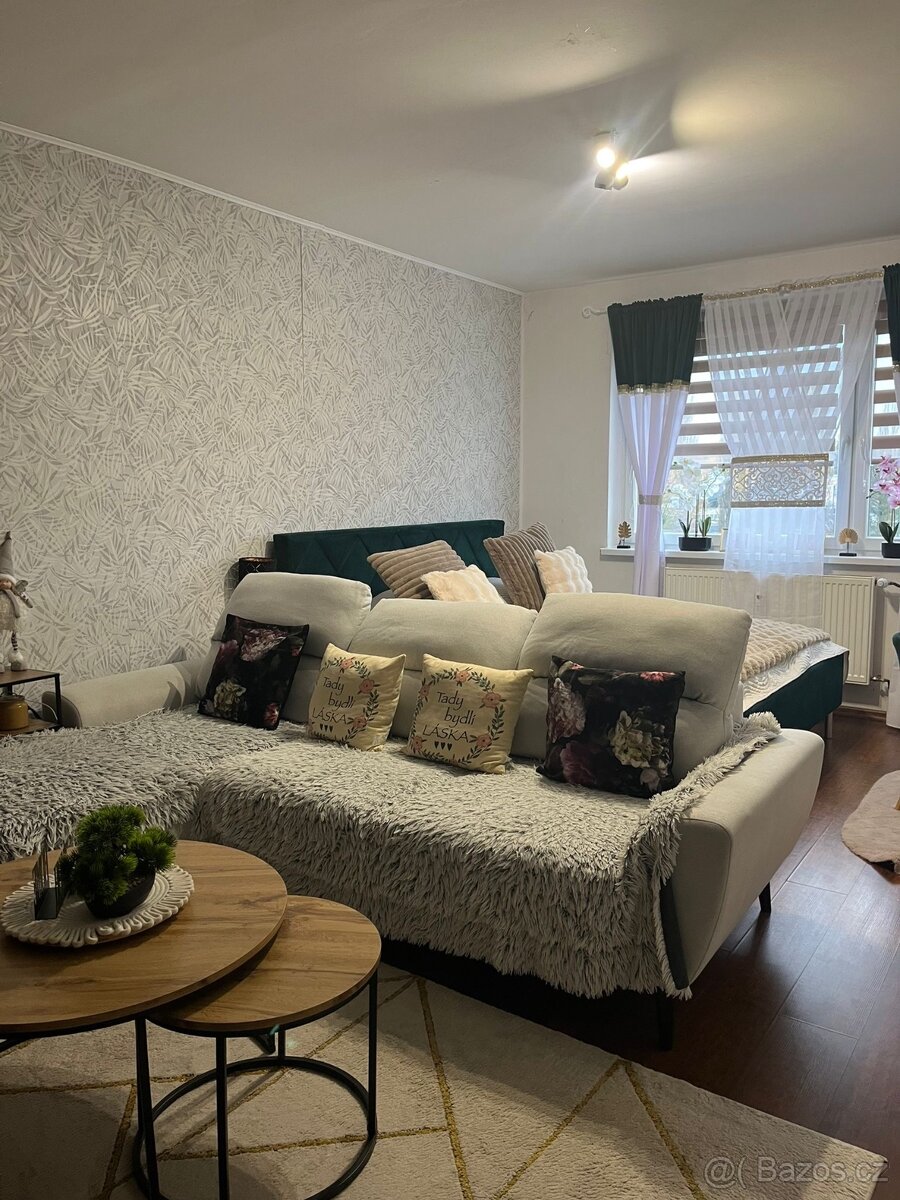 Prodej bytu 2+1, 60 m², Cheb – Zlatý vrch - 3