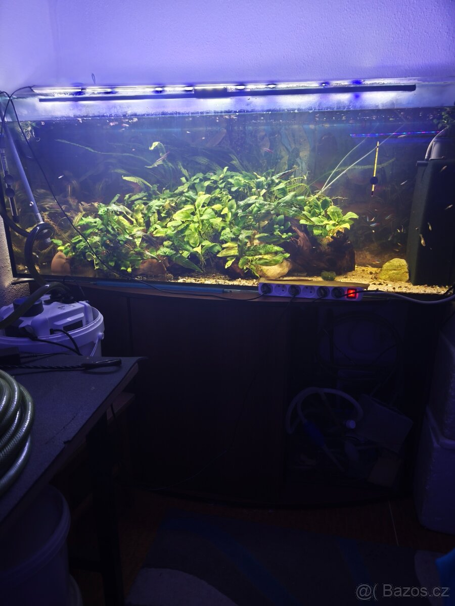 Akvárium 450 litrů - 3