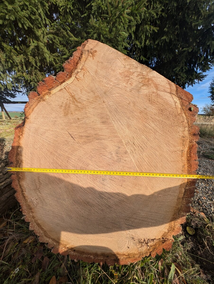 Dubová kulatina - 3