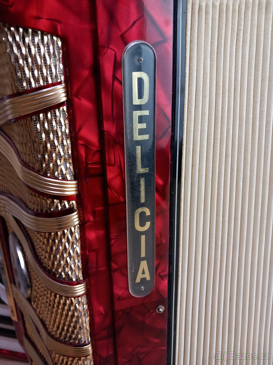 Harmonika Delicia - 3