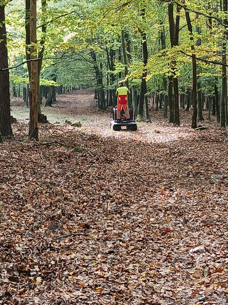 Železný kůň Lennartsfors - Švédsko - 3