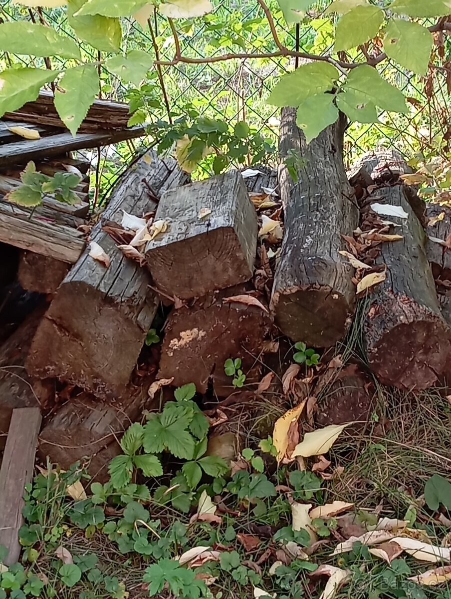 Dřevo na topení - 3