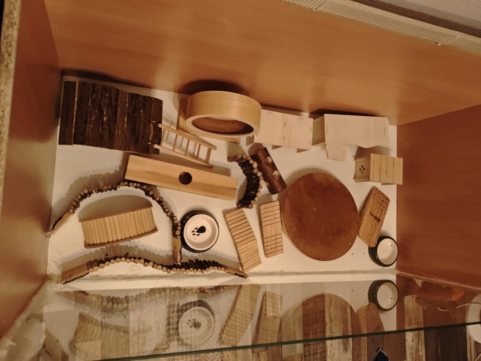 Terárium/box pro hlodavce - 3