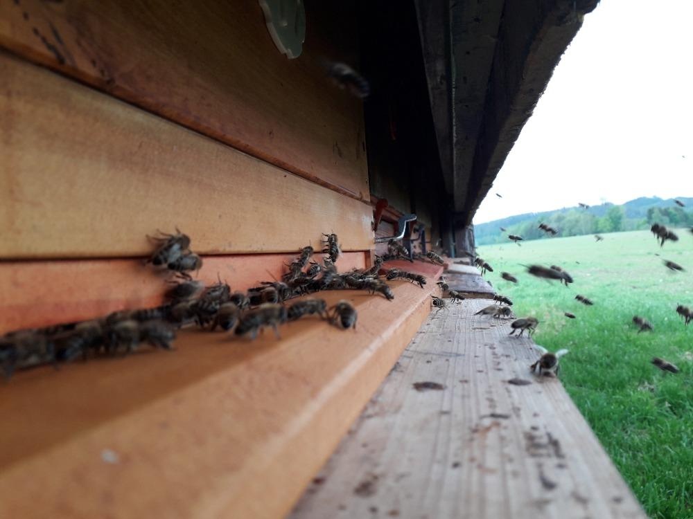 Vyzimované oddělky - 3