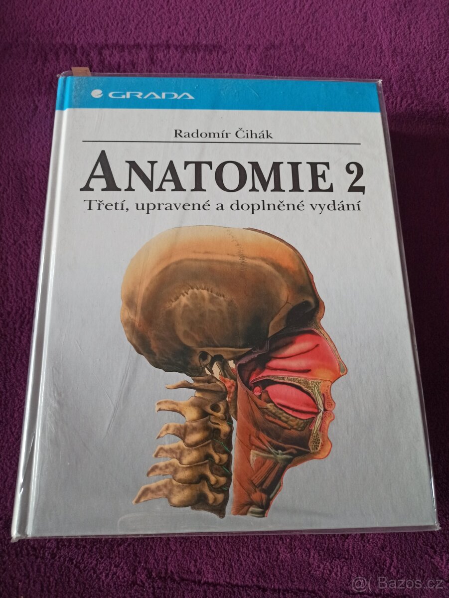 Anatomie Čihák - 3