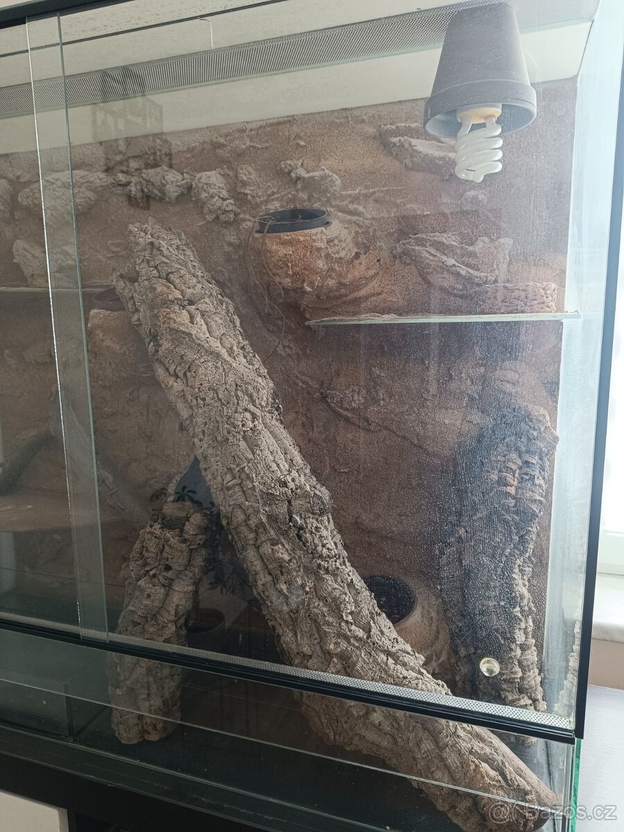 Prodám terárium - 3