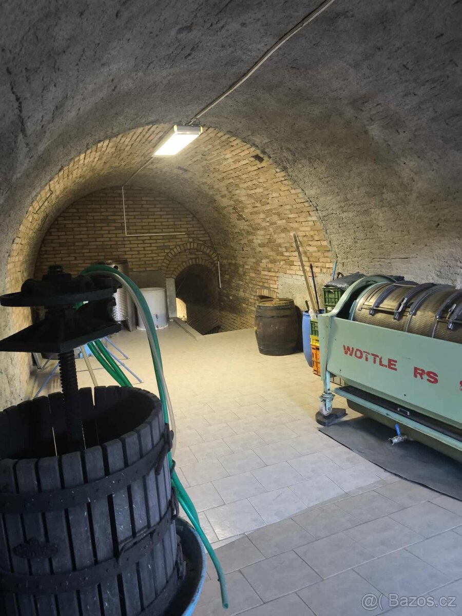 Vinný sklep Dolní Kounice - 3