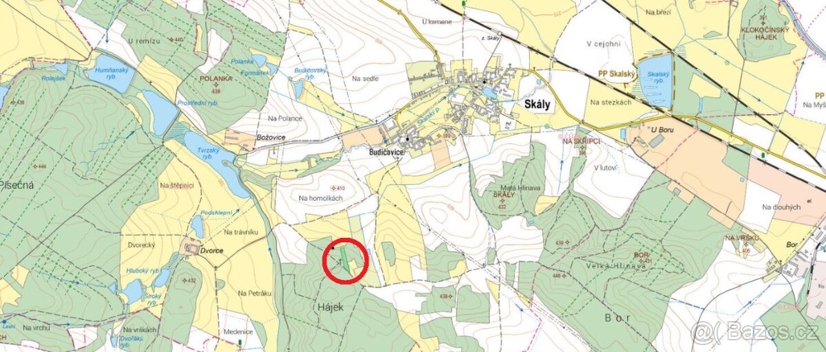 Prodej lesa 5564m2 - 3