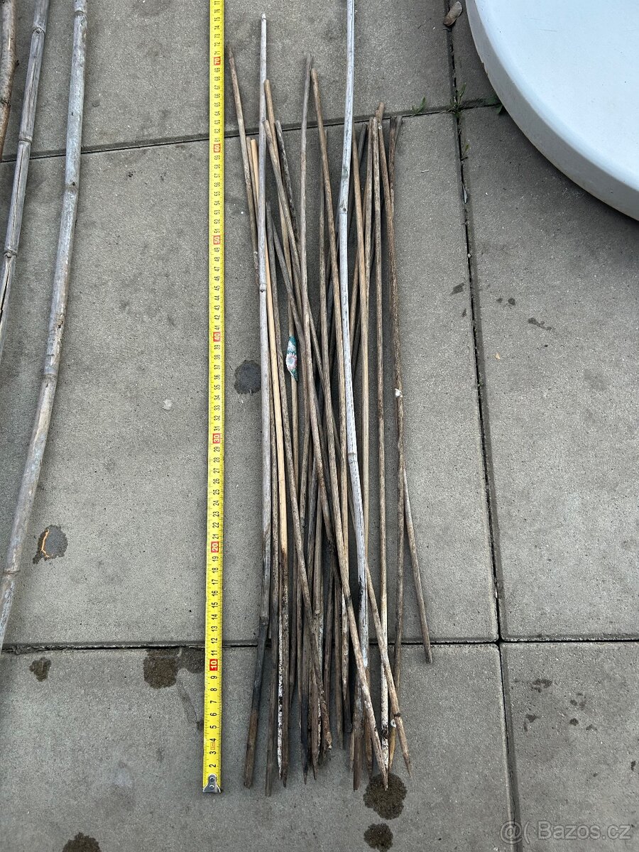 Sada pro sazenice - 3