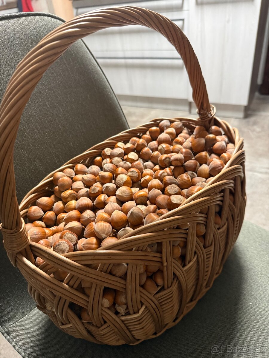 Liskove orechy neloupane - 3