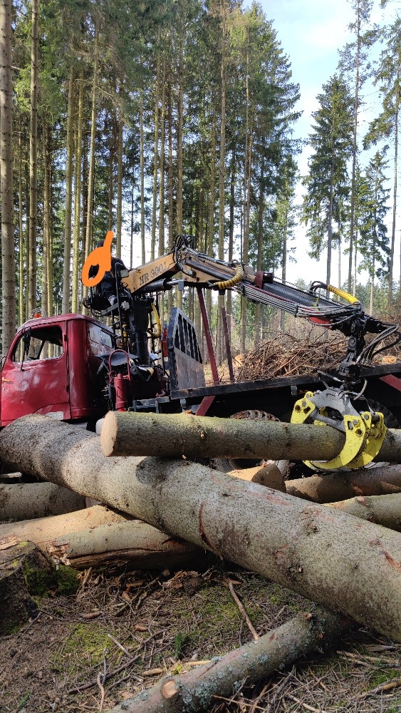 Praga V3S lesovůz, sklápěčka - 3