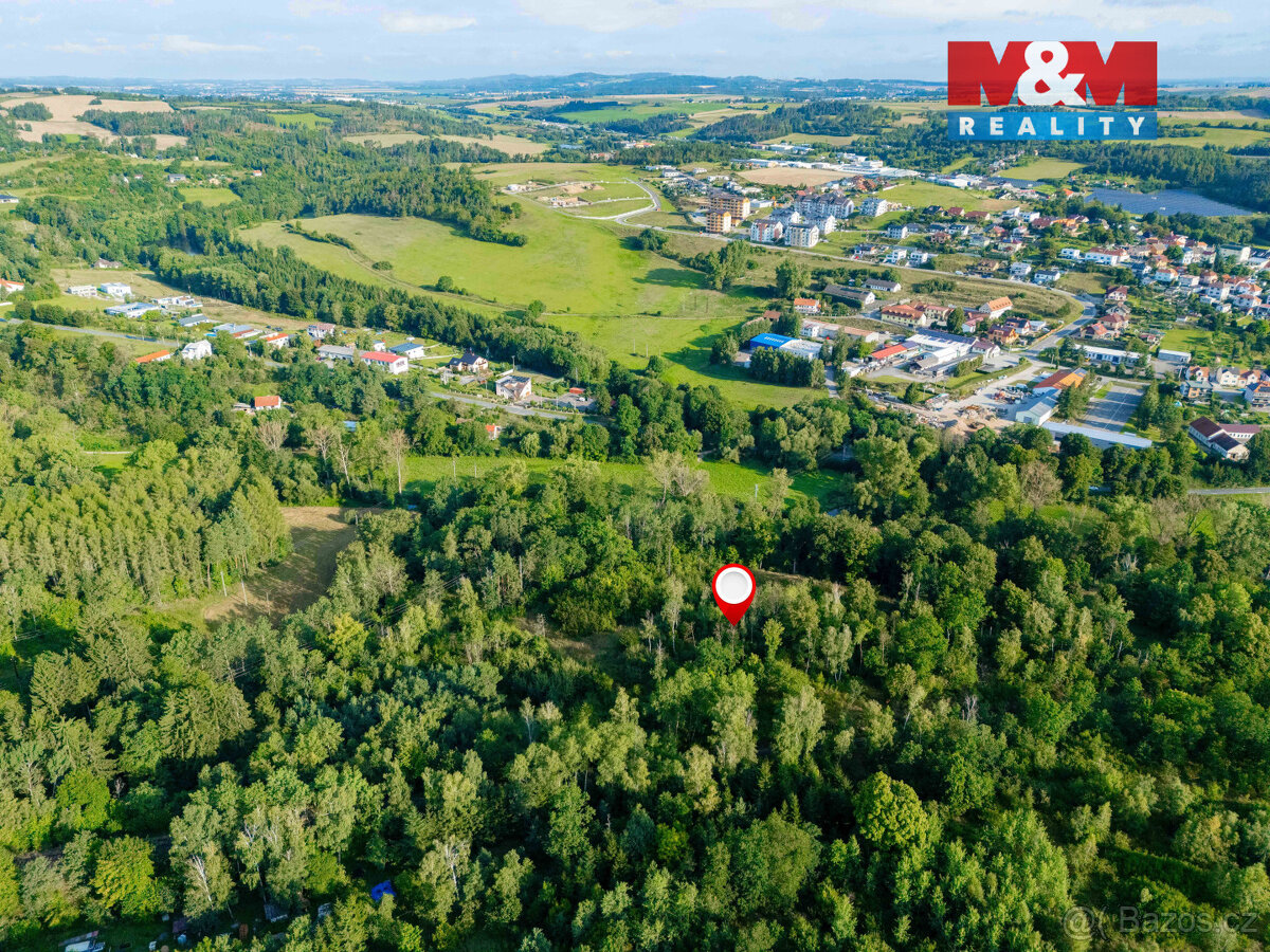 Prodej lesa ve Velkém Meziříčí - 3
