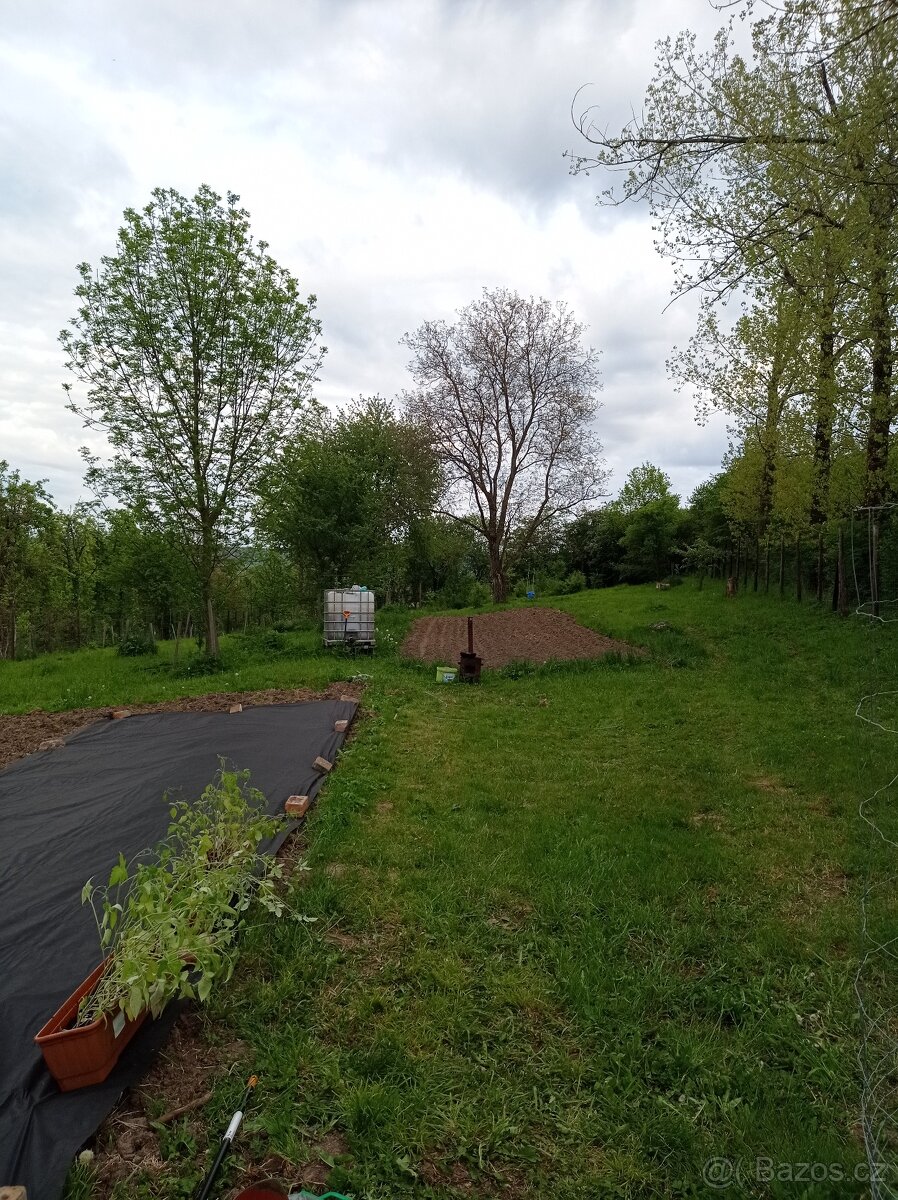 Zahrada -sad - 3