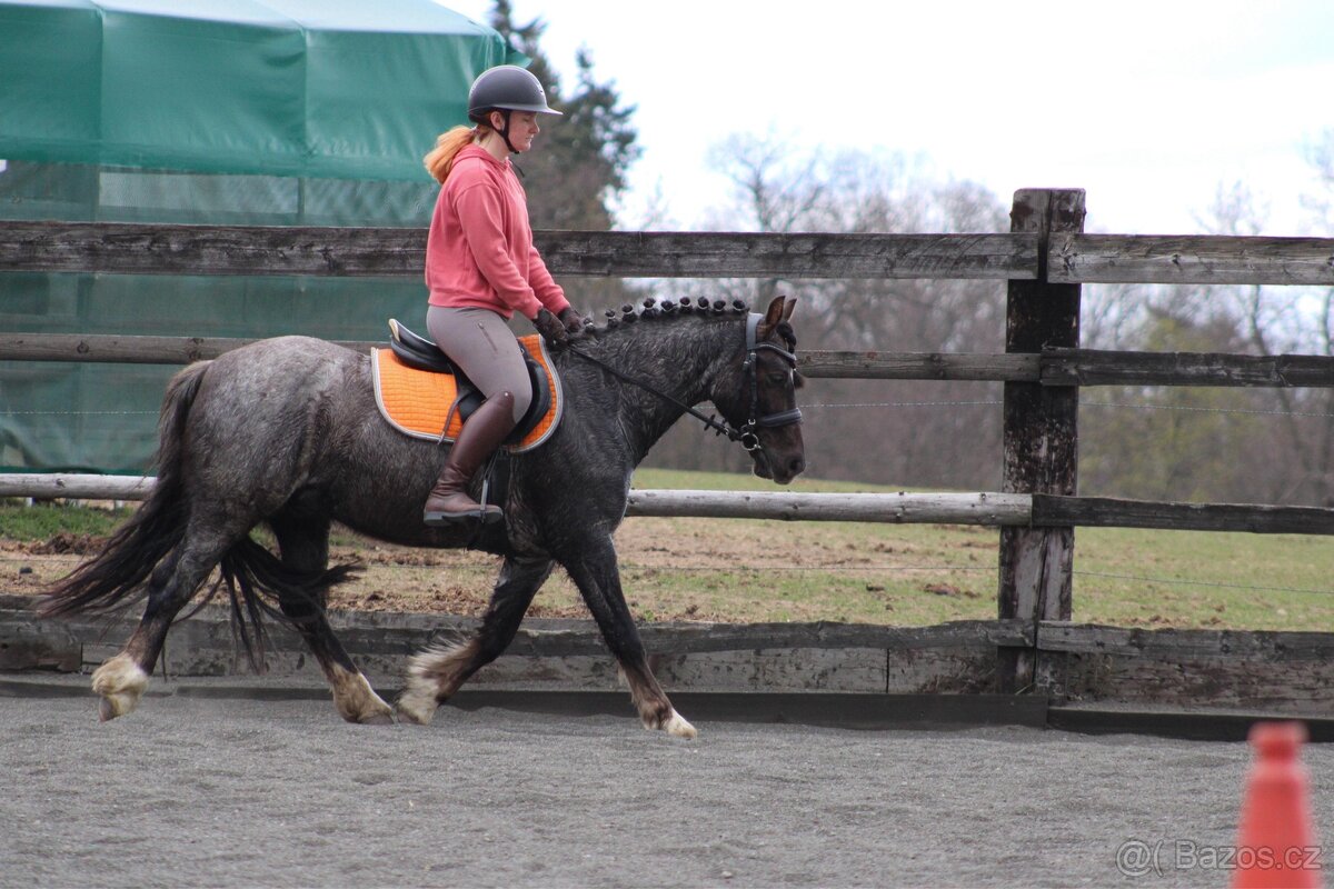 Pony pro juniora - 3