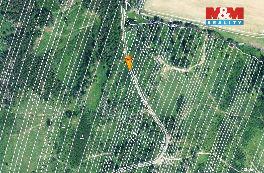 Prodej lesa, 6647 m², Nová Hradečná - 3