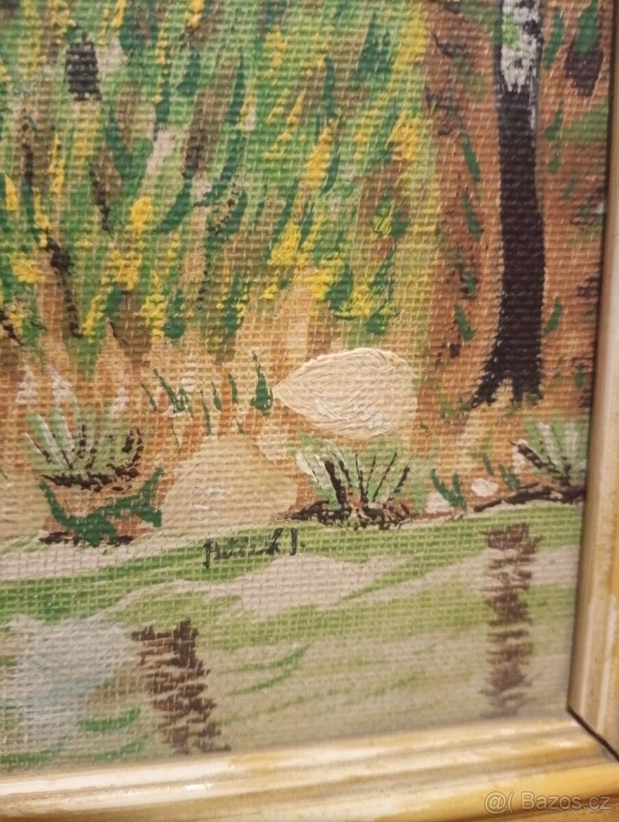 Obraz krajina s chaloupkou - 3