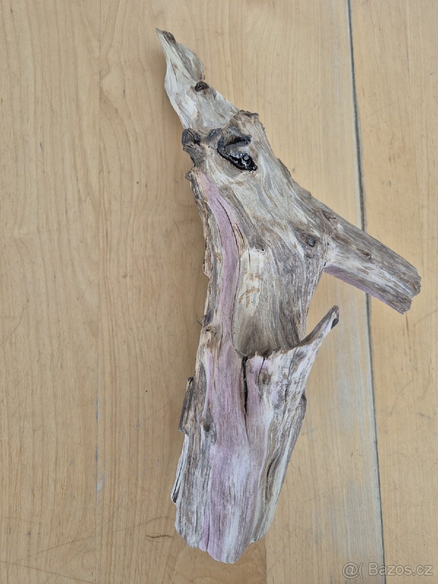 Akvarijní kořen 30 cm - 3