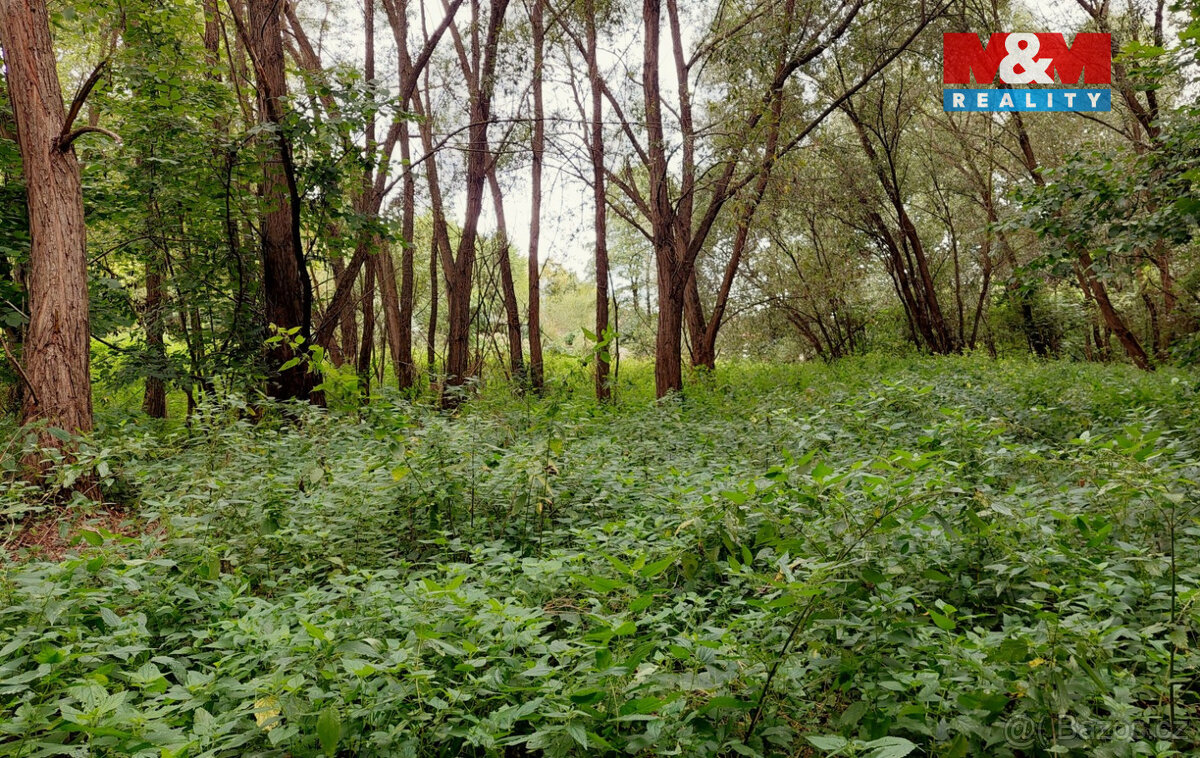 Prodej louky, 682 m², Bystřice, ul. Pod homolí - 3