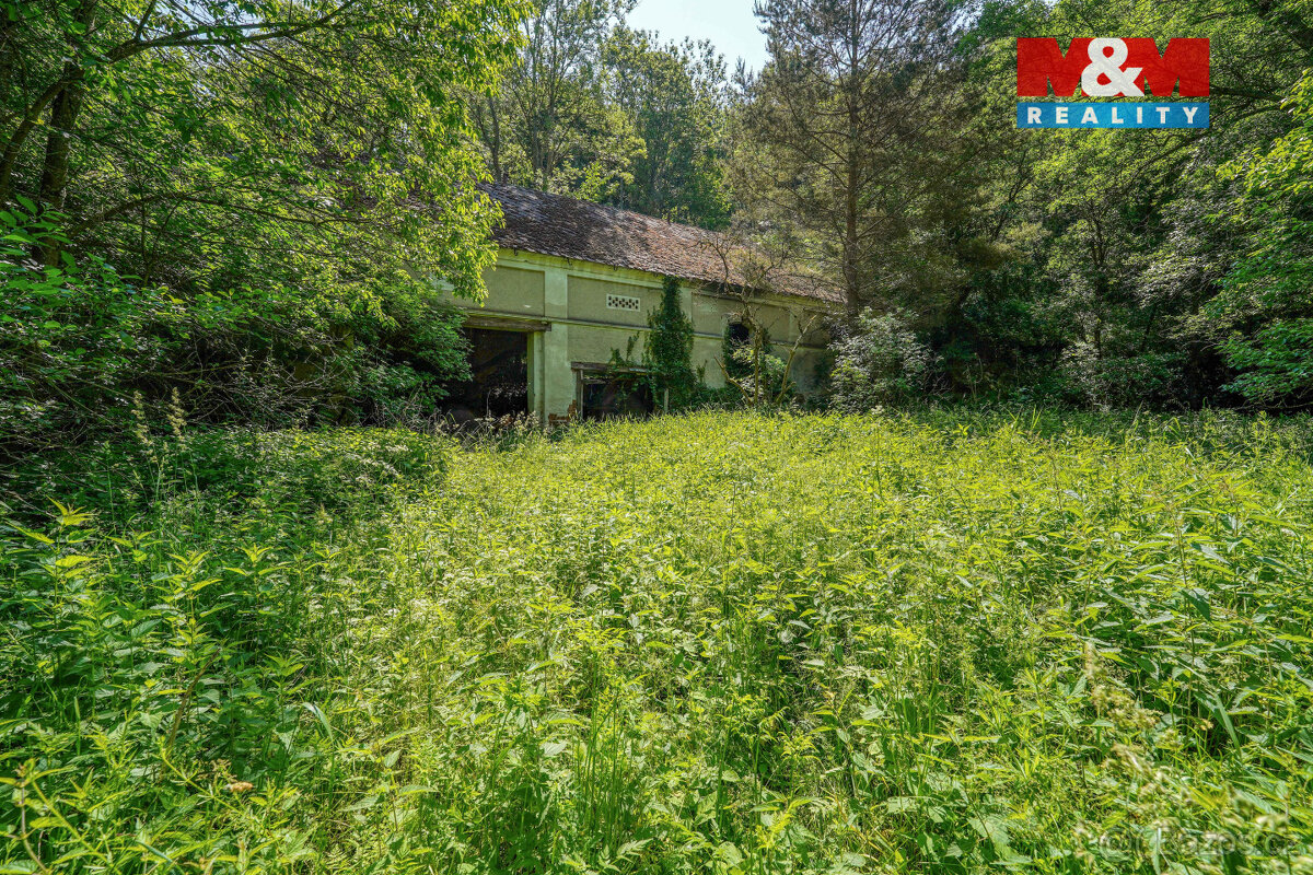 Prodej stodoly 200 m² s lesem 4440 m², Hostouň - Slatina - 3