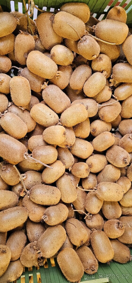 Domácí BIO kiwi - 3