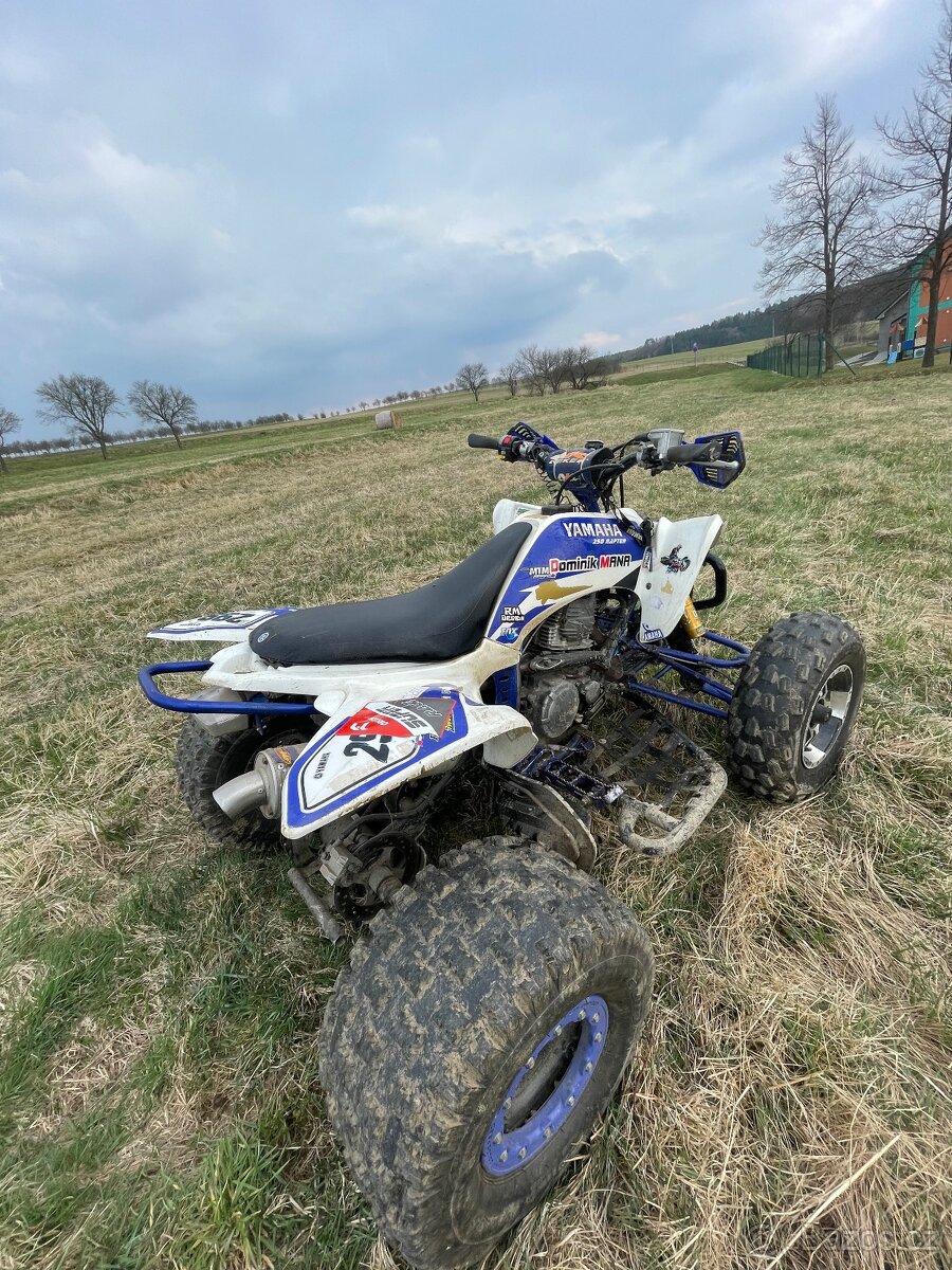 Yamaha raptor 250