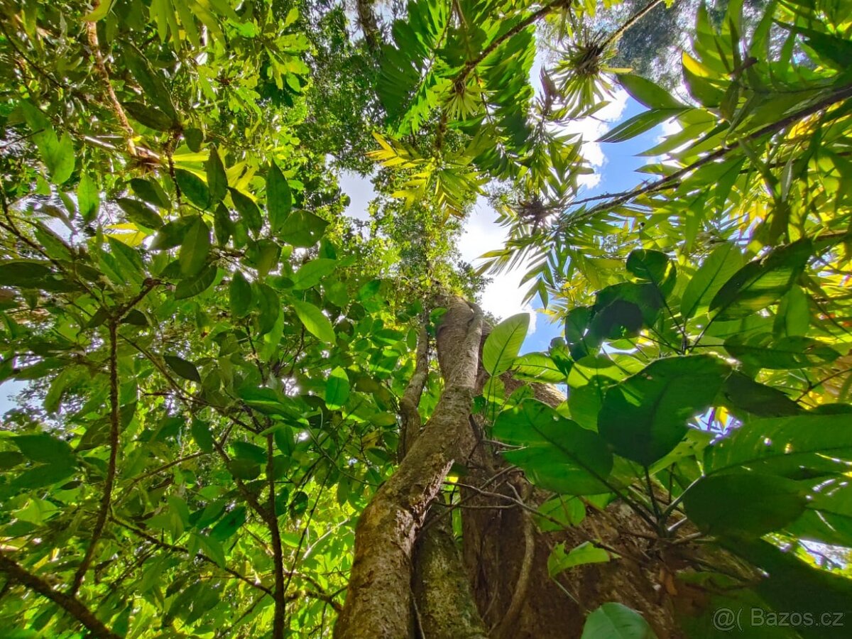 Pozemky a domy Kostarika - 3