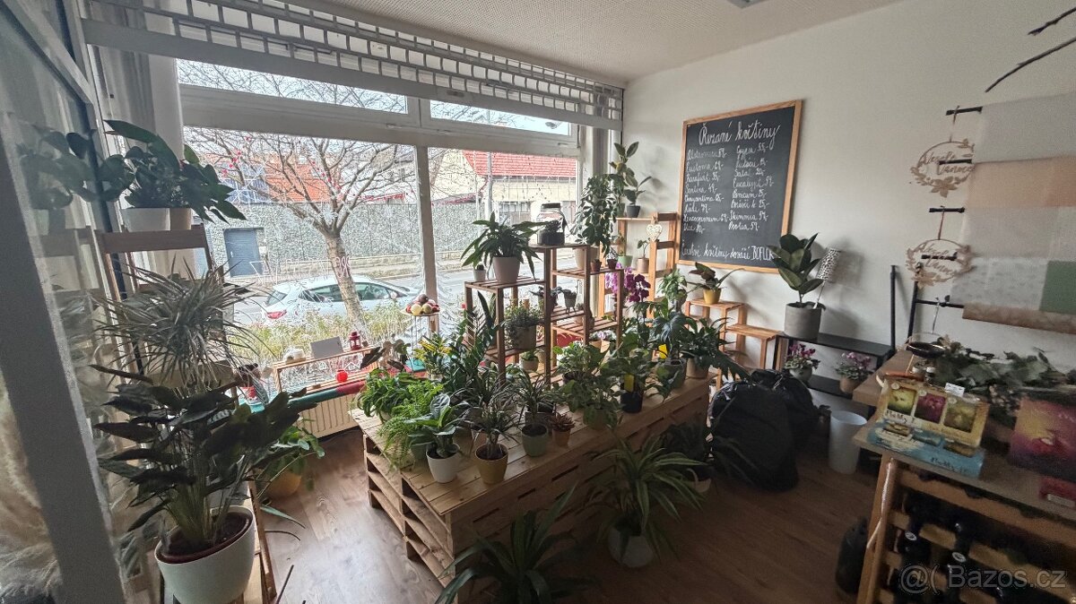 Prodej nebo pronájem obchodu 110 m², centrum Bojkovice - 3