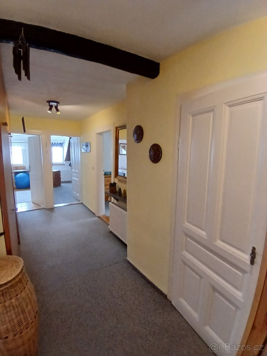Pronájem bytu 3+1 - 3