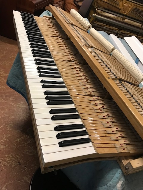 Křídlo Rösler - 3