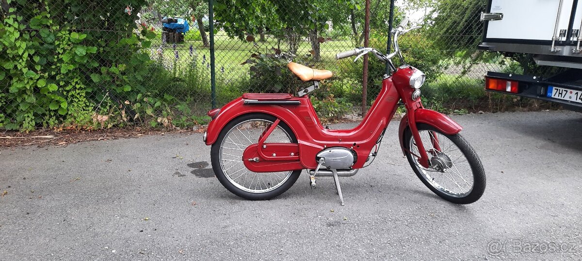 Jawetta 551 - 3
