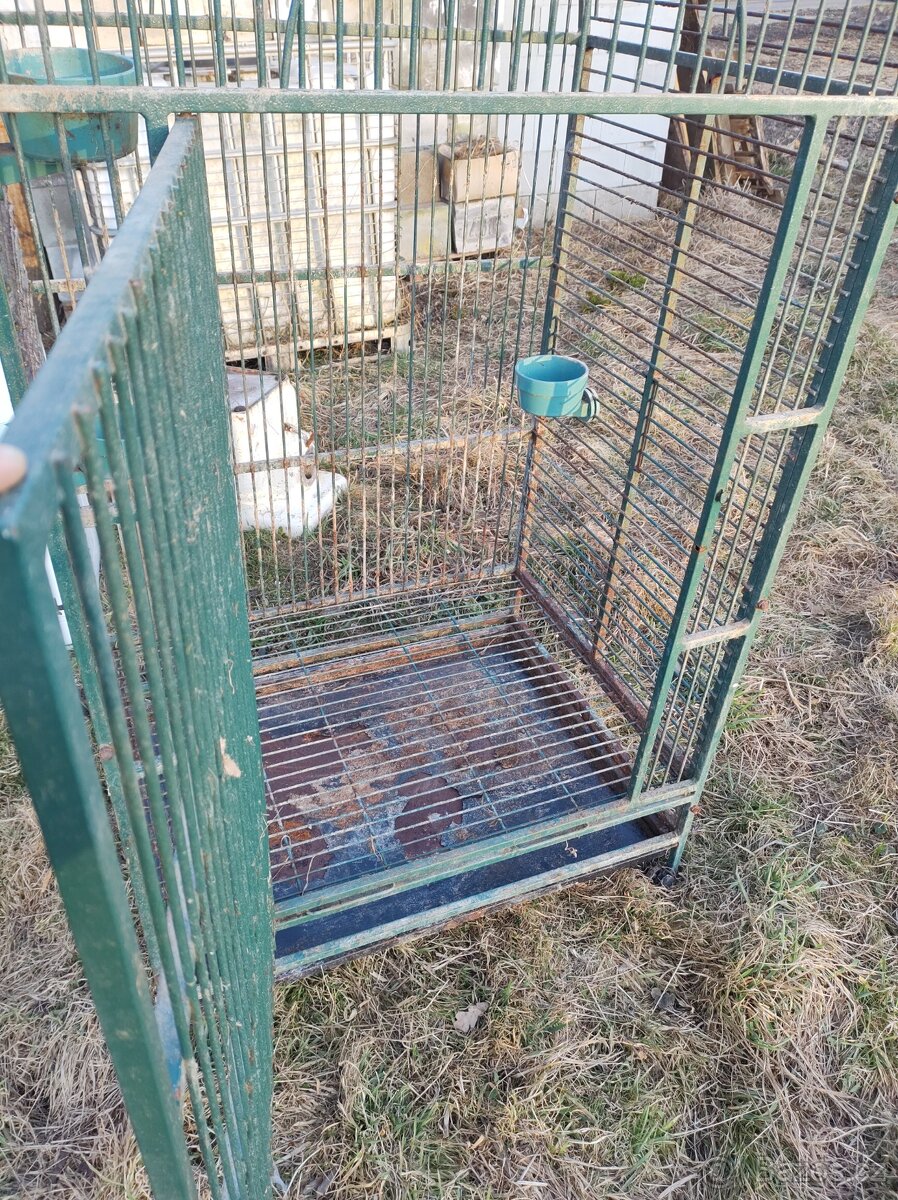 Klec - Voliéra pro ptáky - 3