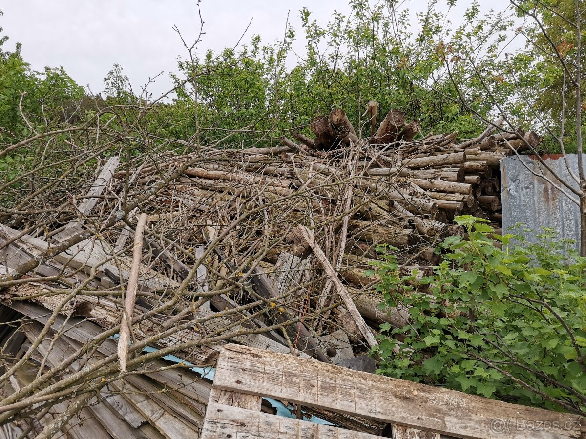 Dřevo na topení - 3