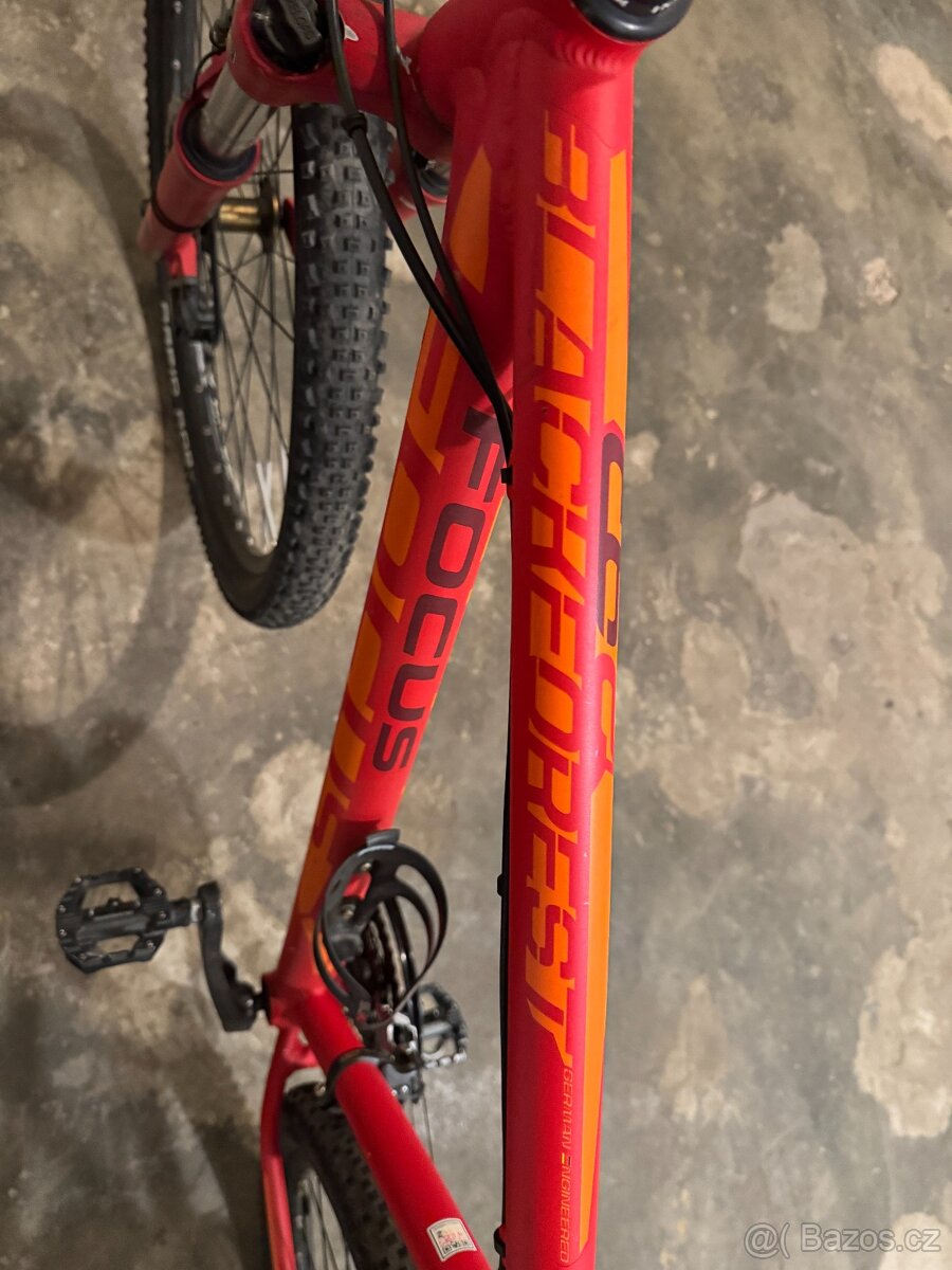 FOCUS Blackforest - 3