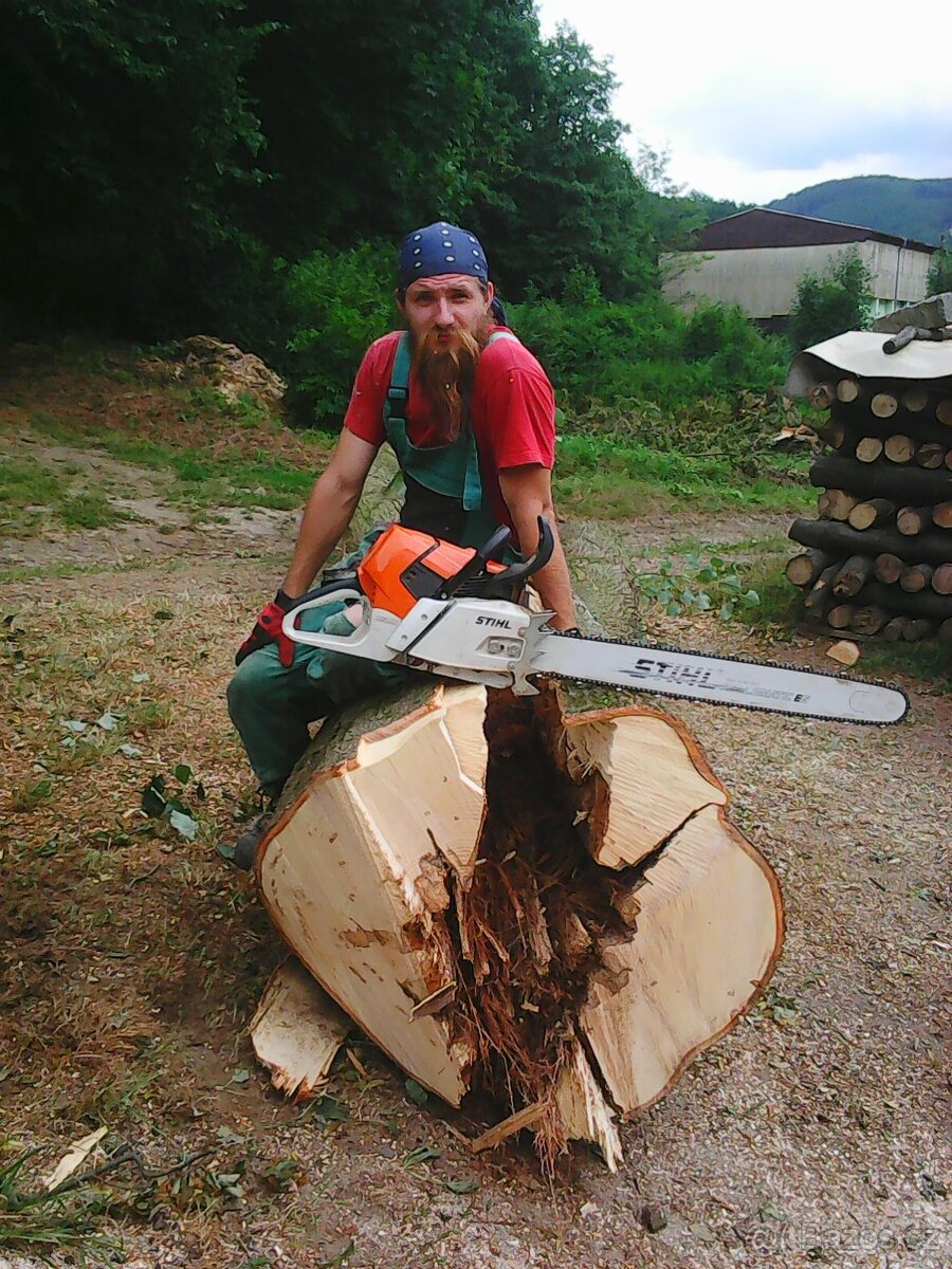 Kácení a ořezy stromů Hranicko - 3