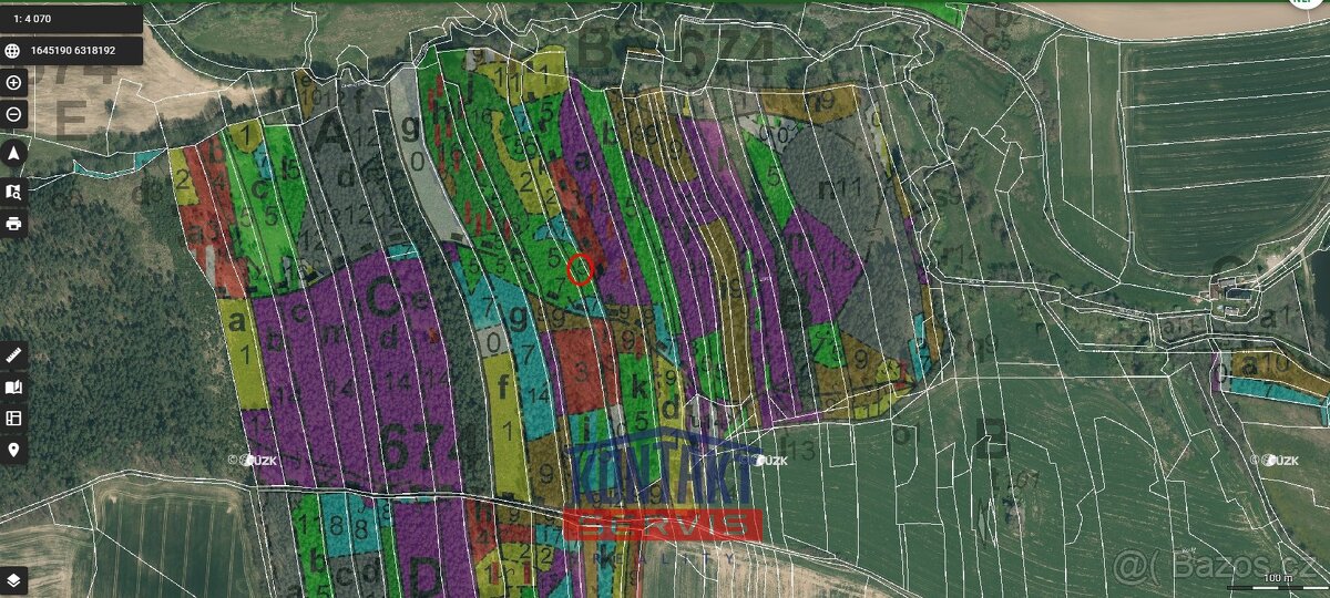 Prodej kvalitních lesních pozemků - Třebějice, ev.č. VŠ-7831 - 3