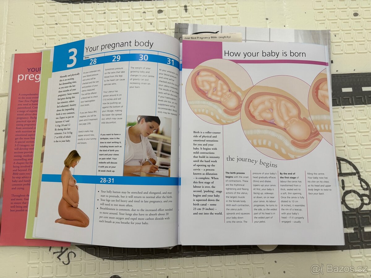 Your New Pregnancy Bible (anglicky) - 3