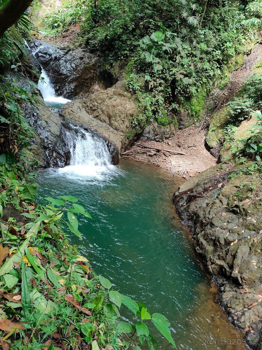 Farma Kostarika Golfito - 3