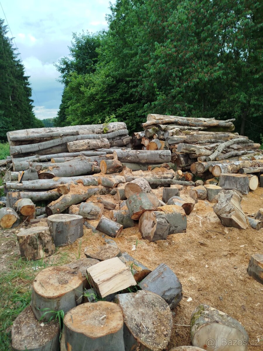 Dubové kůly a palivové dřevo - 3