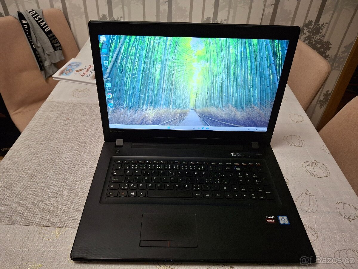 Lenovo Ideapad 300-17ISK - 3