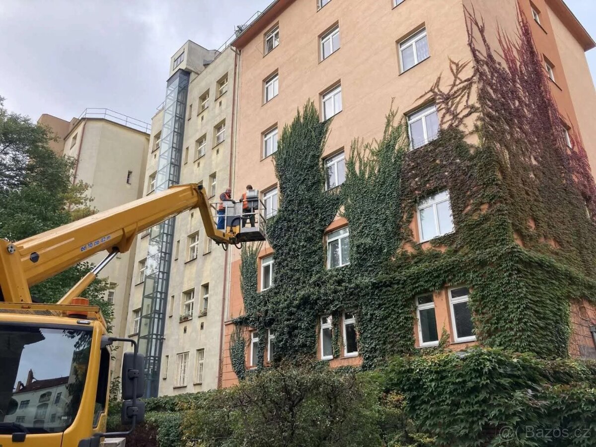 Údržba zeleně - 3