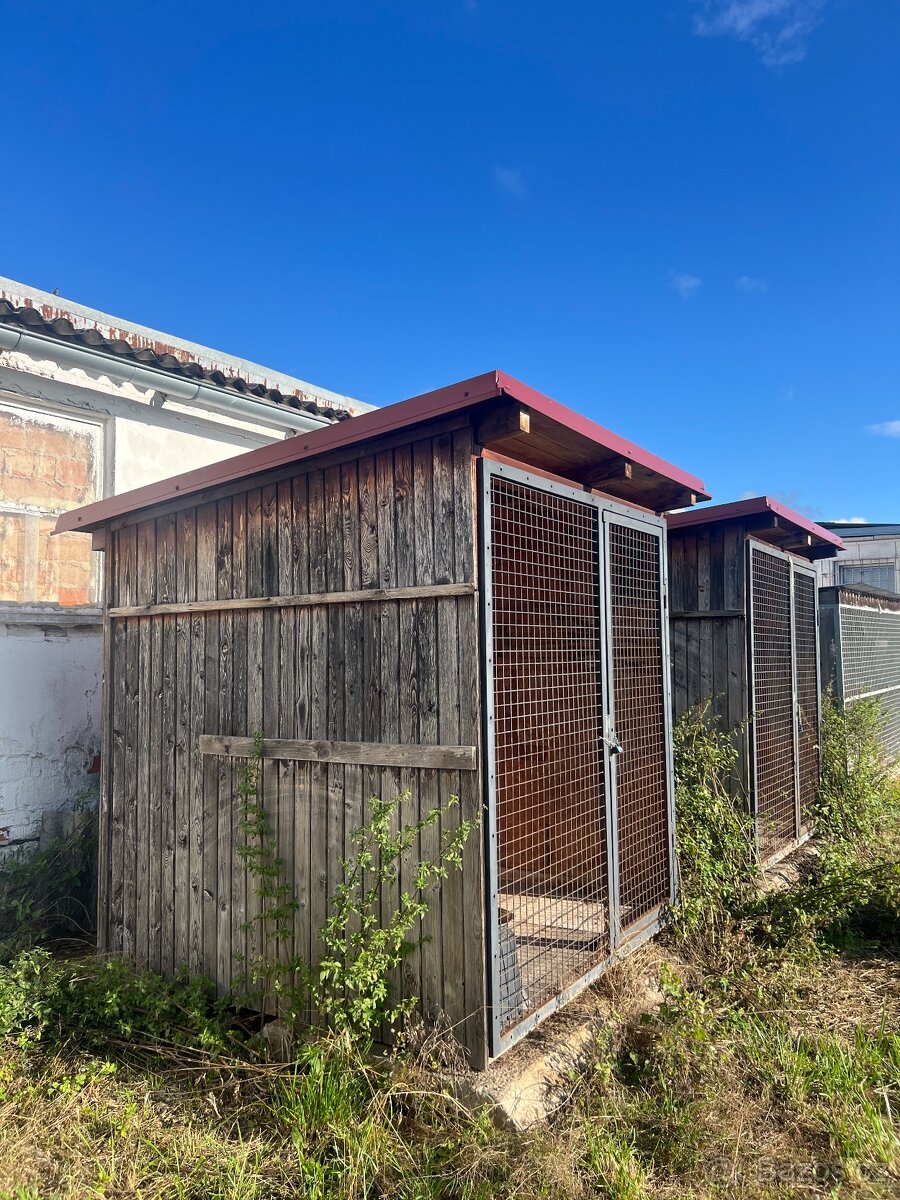 Tři kotce k prodeji - 3