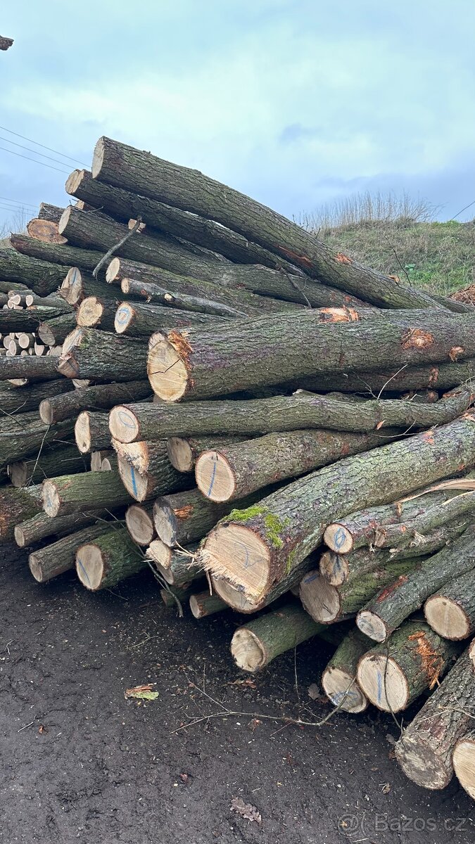 AKCE Palivové dřevo tvrdé metry - 3