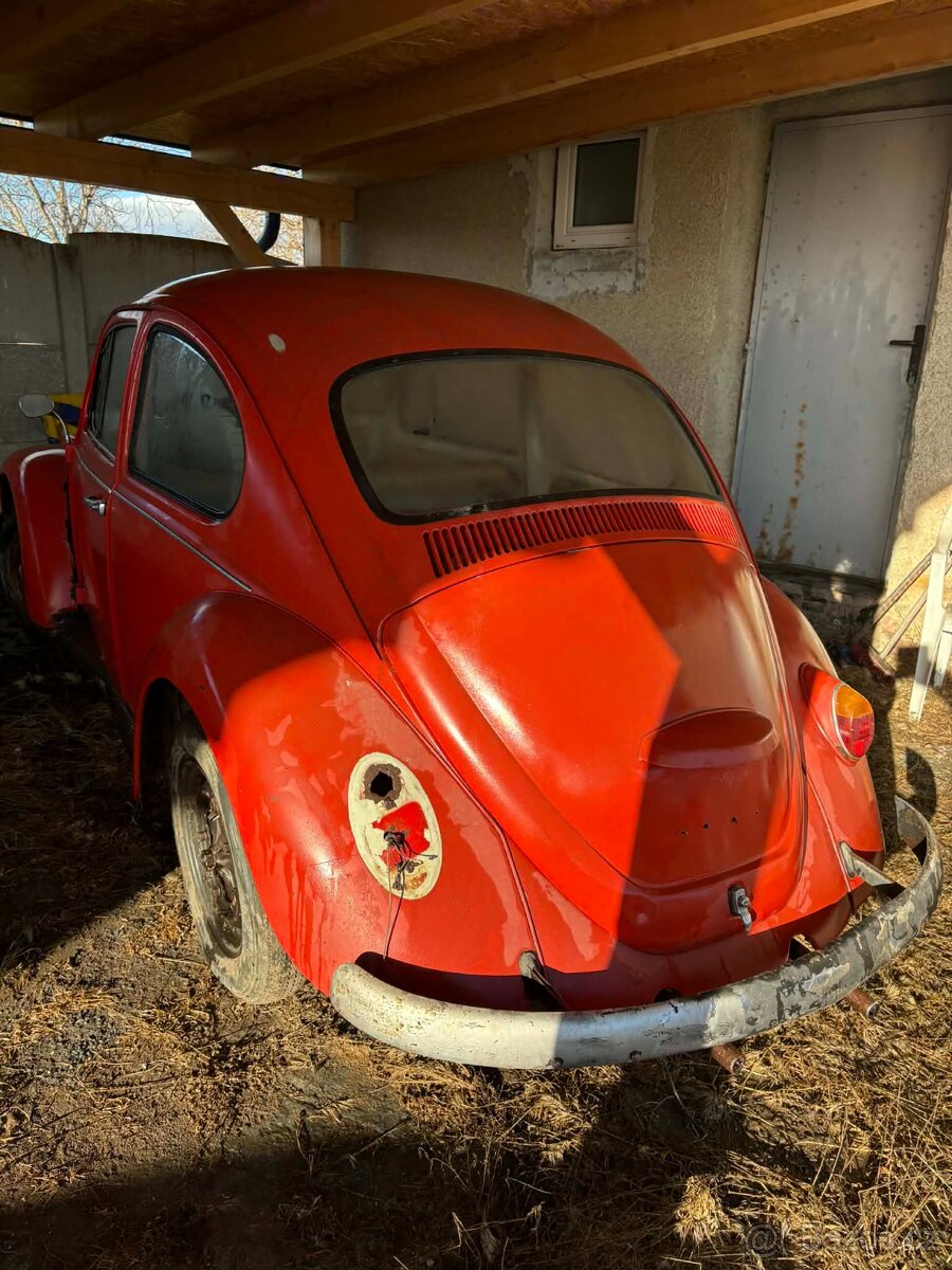 VW Brouk 67 - 3
