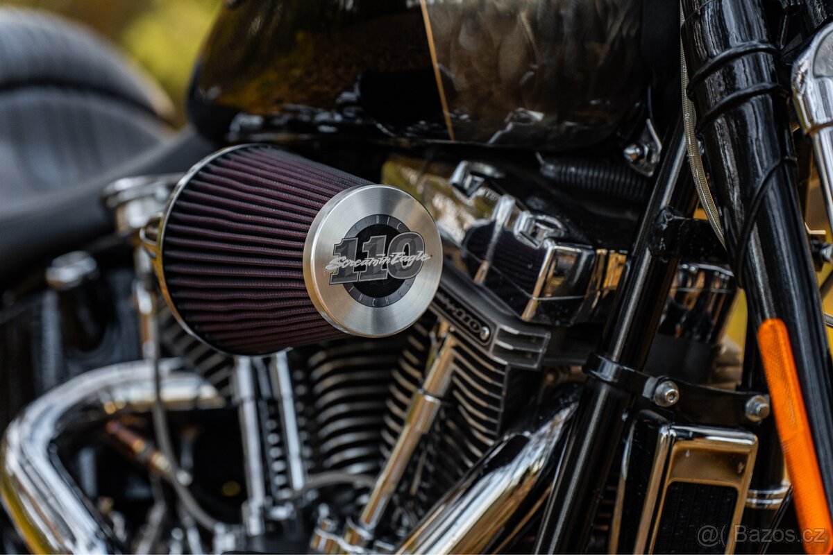 Harley - Davidson Springer CVO 110 - 3
