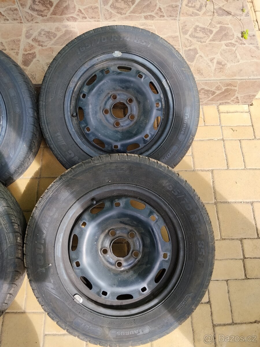 Letni sada kol r14 - 3