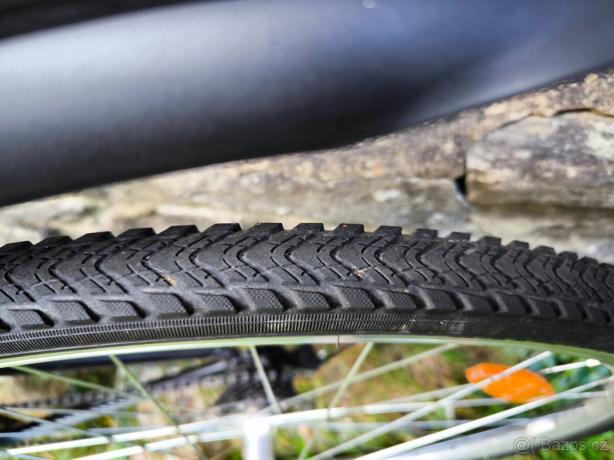 Kolo Alpina ECO C10 ( Kellys) - 3